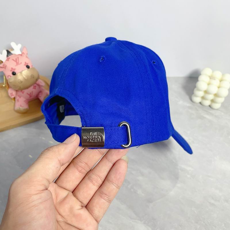 The North Face cap dx (72)